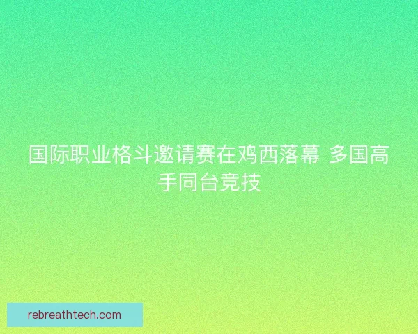 国际职业格斗邀请赛在鸡西落幕 多国高手同台竞技
